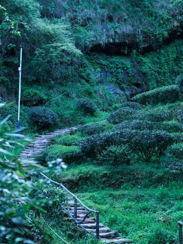第一次去武夷山3天2晚嘅詳細旅行攻略