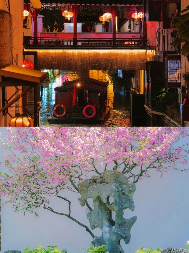 因為南京夠美了/直到我來了蘇州