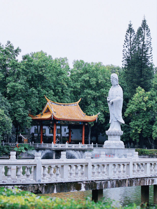 闹市中的古刹！福州西禪寺一日遊攻略