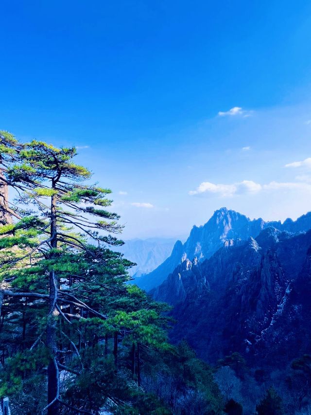 人間仙境。
