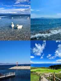 全段獨庫公路+伊犁環線8日遊