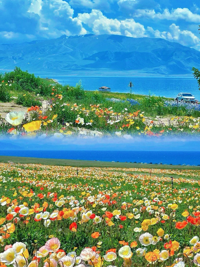 賽里木湖｜世界上有一種藍叫賽里木湖藍