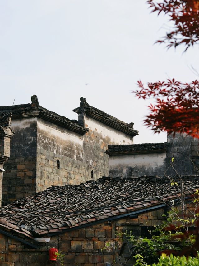 藏喺山林入面嘅私湯酒店真係好識旅行儀式感