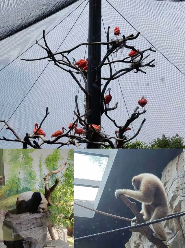 南京旅遊攻略