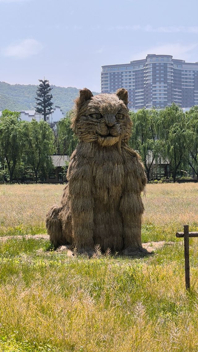 打卡太湖圖影濕地文化園