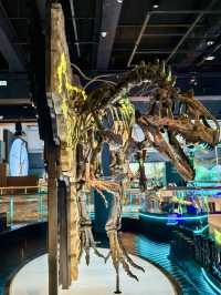 科學的奇幻劇場：香港科學館的知識冒險