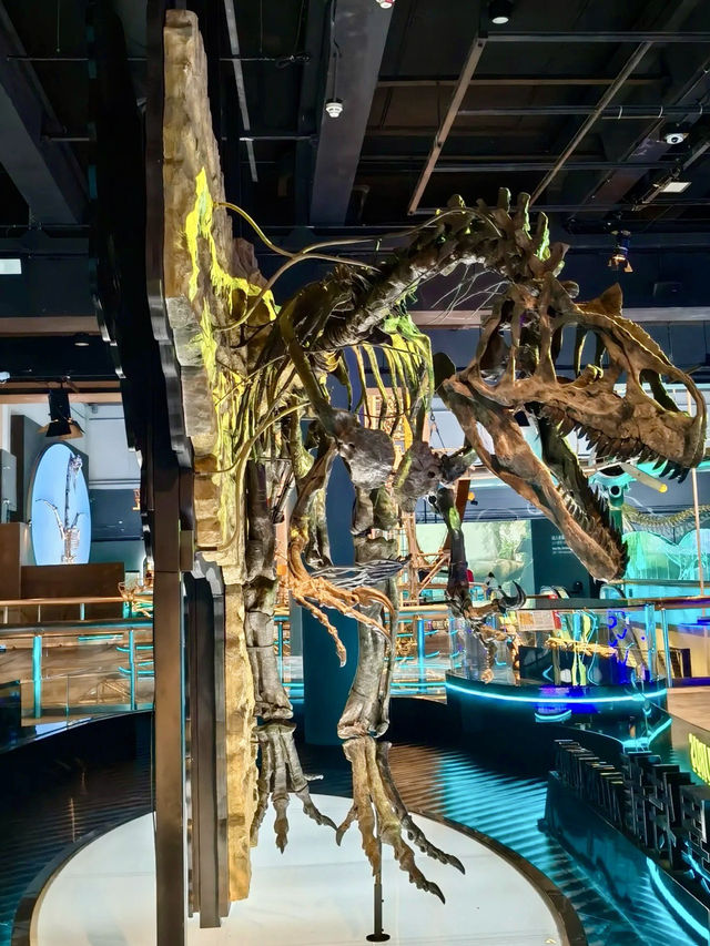 科學的奇幻劇場：香港科學館的知識冒險