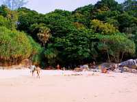 Phuket Beach Play Book: Ultimate Guide To Eden