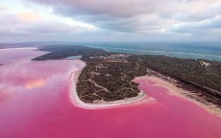 Perth's Pink Lake Wonderland – Fall into Nature's Romantic Dream