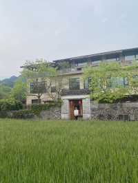 邂逅谷原民宿嘅詩意時光
