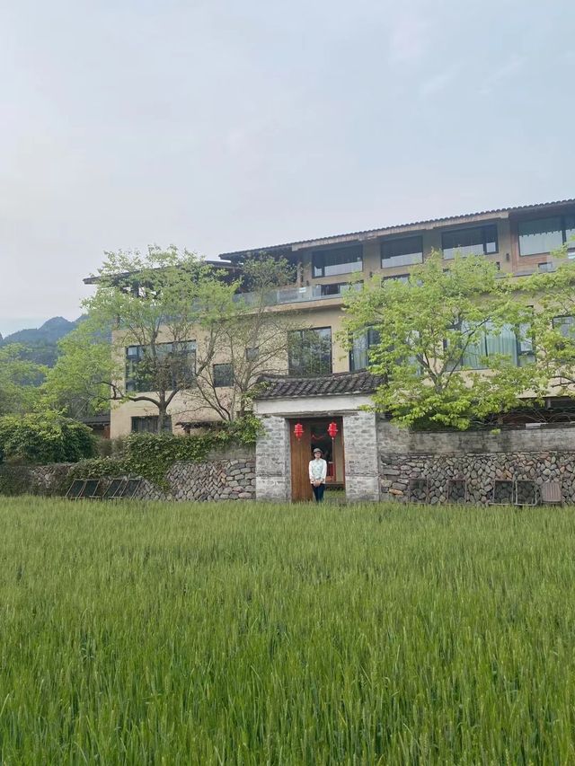 邂逅谷原民宿嘅詩意時光