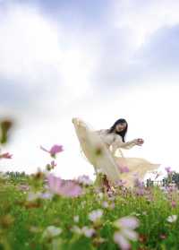 瓊海花海｜闖入花海秘境！