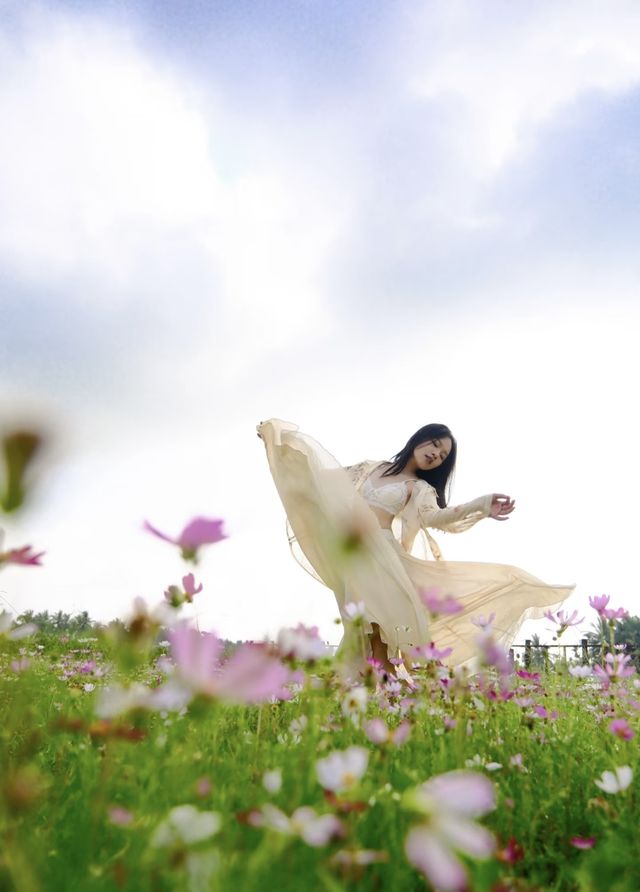 瓊海花海｜闖入花海秘境！