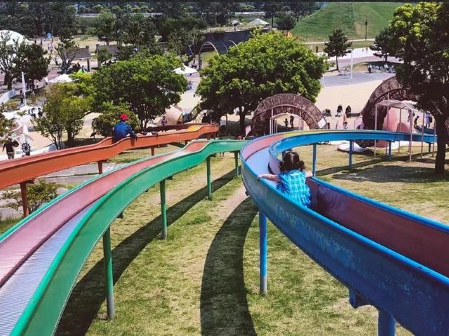花海騎遊·與鯊共舞：探索福岡海之中道