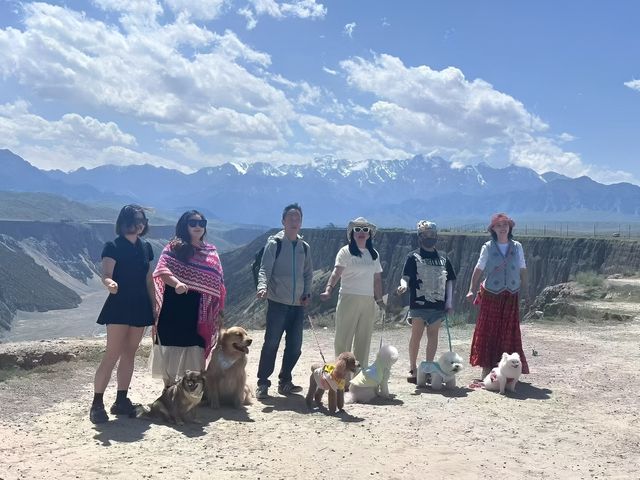 【新疆寵物友善旅行團】天山大環線！