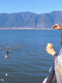 海鷗揮手即來，呢間係咩神仙海景民宿