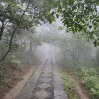 【世界遺産 廬山⛰️】2泊3日旅