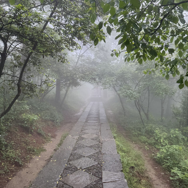 【世界遺産 廬山⛰️】2泊3日旅