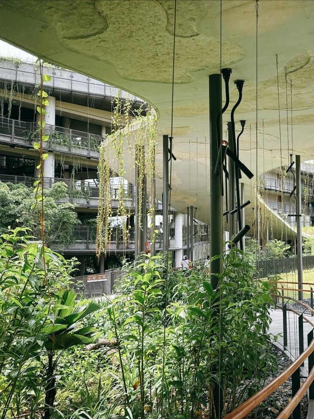 萬態雨林悅榕莊