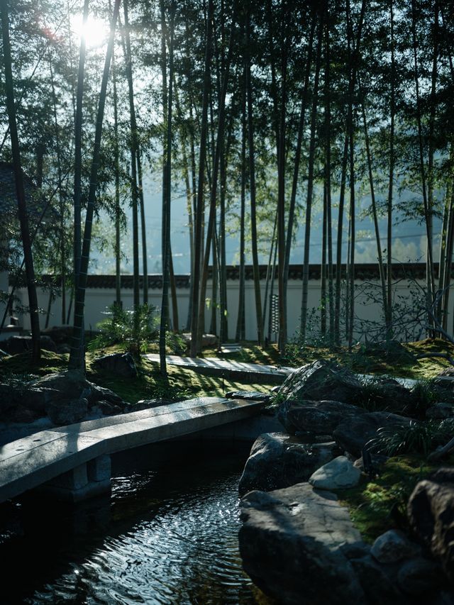 住進萬畝茶山，在竹林小院做一日閒散茶人