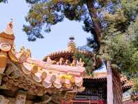 Beijing Backpacking: Unveiling the Ancient Capital’s Hidden Gems