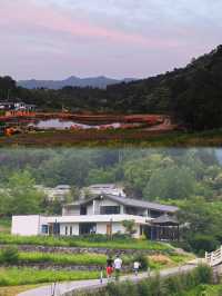 世外桃源般的民宿——大秦山倉·遇見海棠