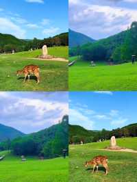 伊春好靚，因為可以享受22度嘅夏日