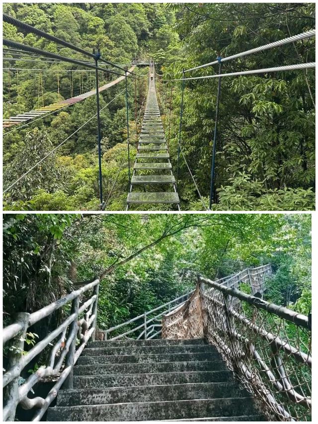 贛州安遠三百山嘅天然氧吧 快樂呼吸