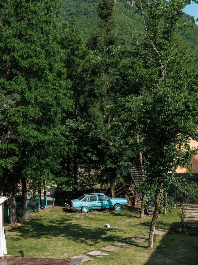 夏日來信|一起去有水的地方。