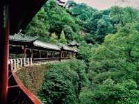 Ya'an's Beauty: Emerald Gateway to Tibet, Veiled in Mist, Nourished by Rivers, Rooted in Tea