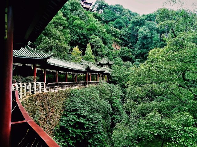 Ya'an's Beauty: Emerald Gateway to Tibet, Veiled in Mist, Nourished by Rivers, Rooted in Tea
