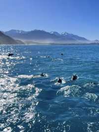 🌿 NZ Dreamscape: 7 Days in Middle-Earth!
