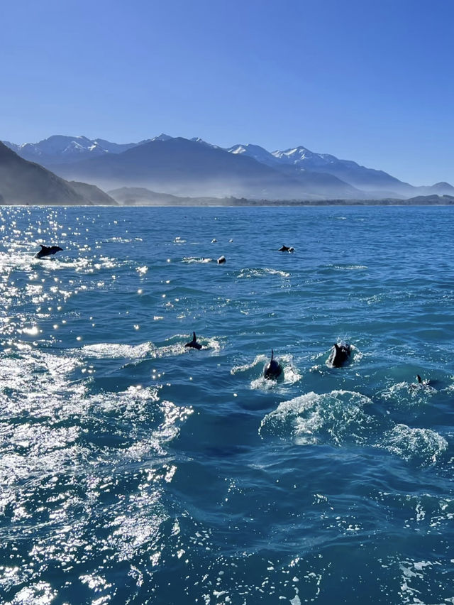 🌿 NZ Dreamscape: 7 Days in Middle-Earth!