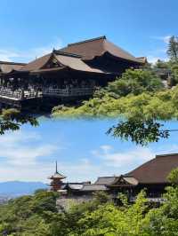 京都親子遊攻略，帶小朋友玩盡呢座歷史名城