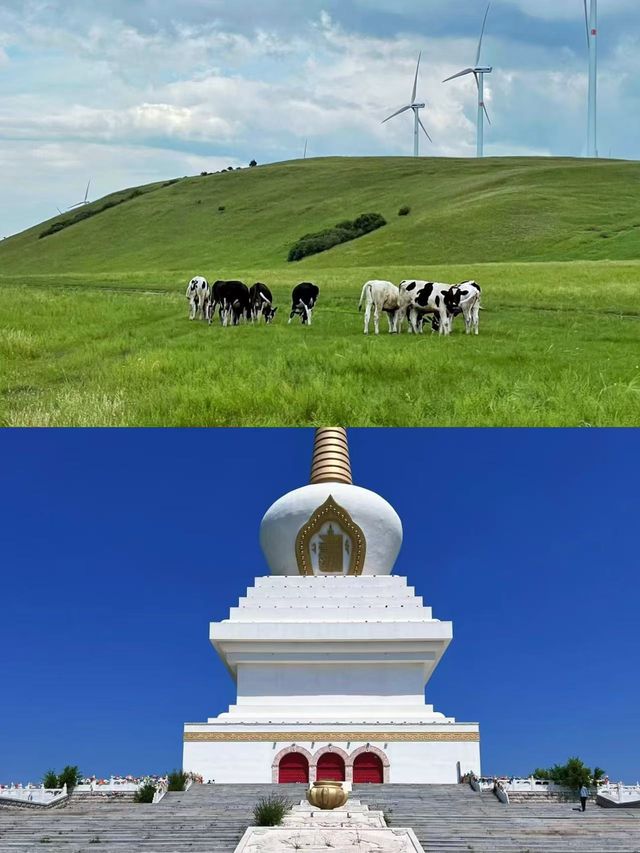 淡季海拉爾已回，真不建議6-7月