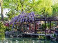 Suzhou’s 9 UNESCO Gardens Ranked for Timeless Charm 🎍