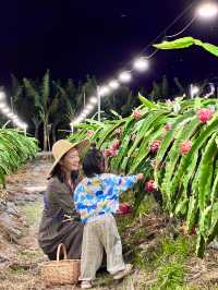 被三亞人收埋嘅陵水｜帶娃闖入「玻璃海童話」