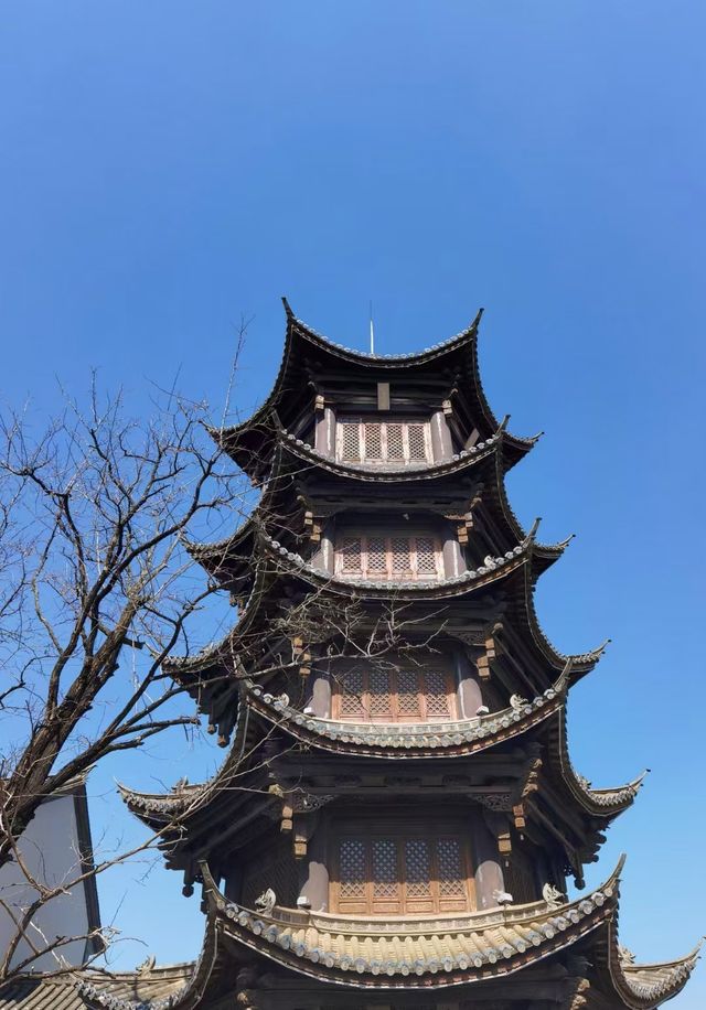 昆明漫遊｜滇池畔邂逅紅嘴鷗，春日花海暴走指南！  必去理由 滇池頂流！西伯利亞精靈來赴約啦～ 