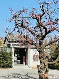 北京觀舍西山必打卡