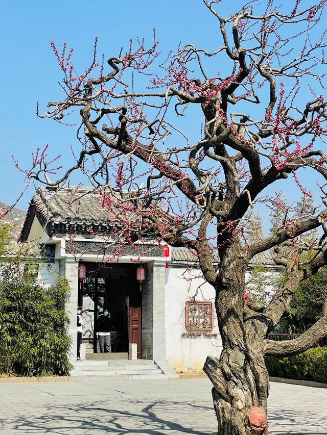 北京觀舍西山必打卡