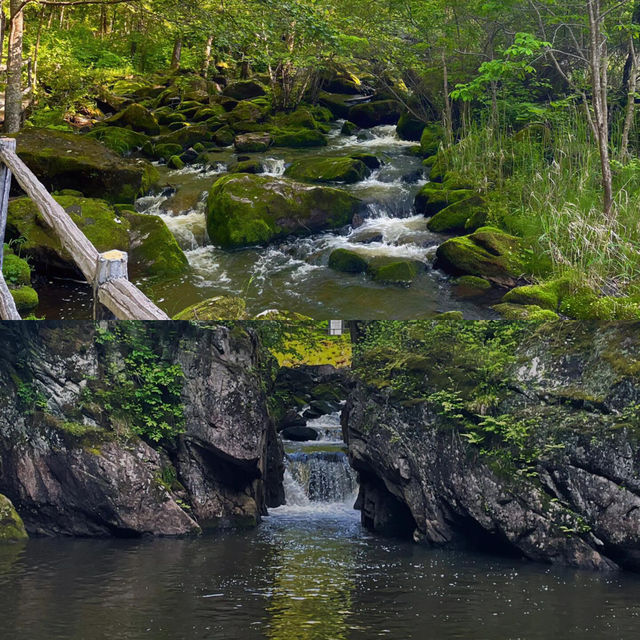 隱藏喺東北嘅秘境｜茅蘭溝，避暑行山超舒服