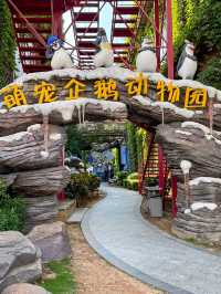 暑假帶娃好去處！！！嚟老院子玩就啱啦！！！