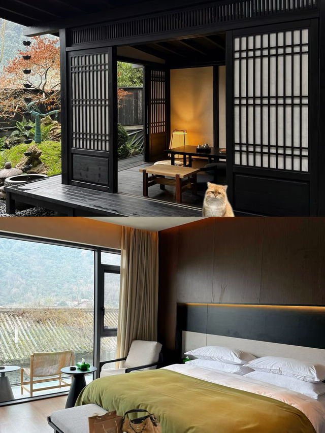 青城山住進宋式美學私湯庭院！太chill了