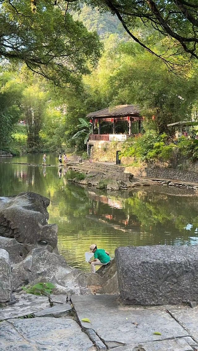 愛樹黃姚書院民宿，展開一段充滿詩意的旅程