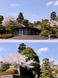 東京絕美秘境！皇居東御苑：穿越江戶時代的綠意時光隧道】**  