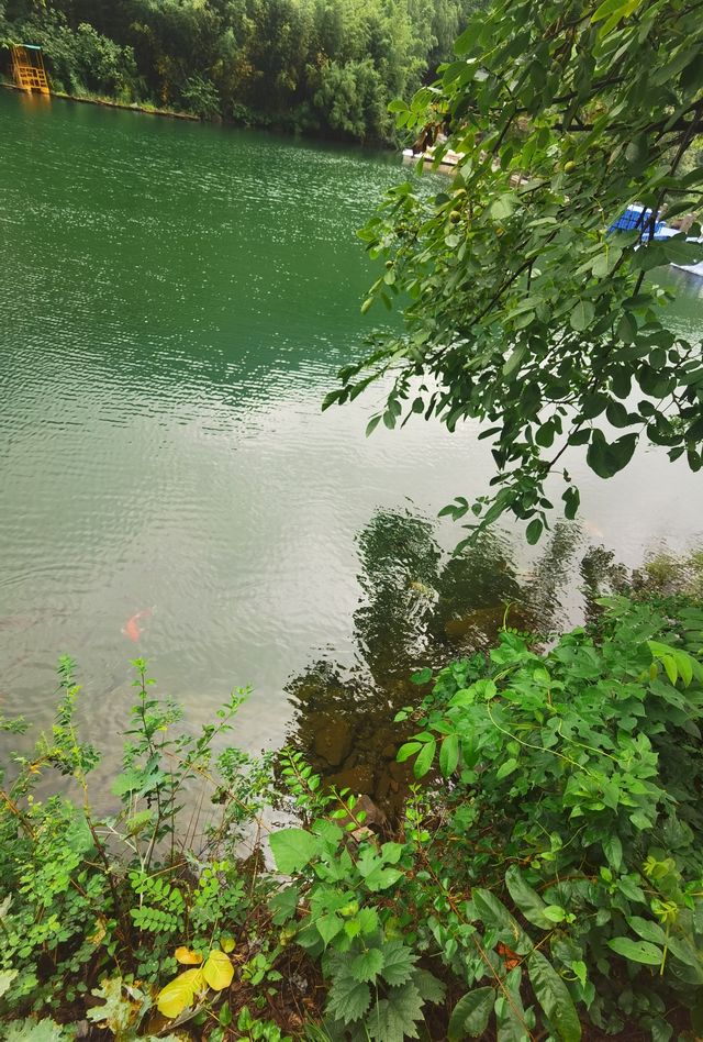 八里溝山水秘境避暑戲水休閒遊
