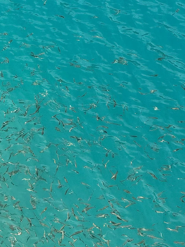 九寨溝神仙玩法攻略