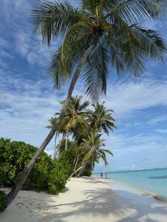 A Memorable and Peaceful Island Retreat