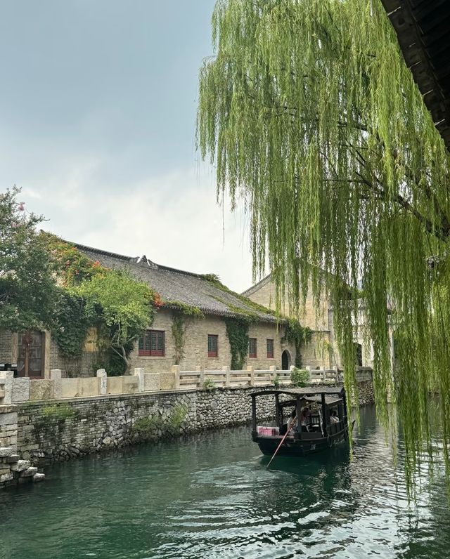 濟南最美楊柳垂岸 濟南最美楊柳垂岸