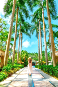 一眼心動|住进華僑城洲際的夏天裡🏝️解鎖華僑城洲際大酒店椰林泳池秘境,在城市綠洲復刻熱帶慵懶。